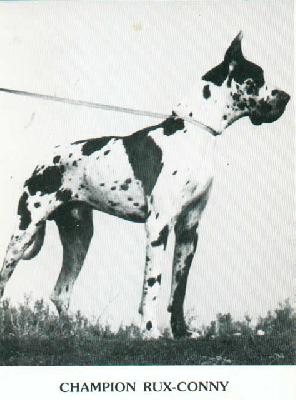 Ch Rux Conny De Mourre Frais