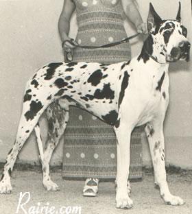 Ch Tenor De Mourre Frais