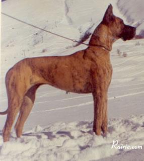 Qualie De Tapendiola