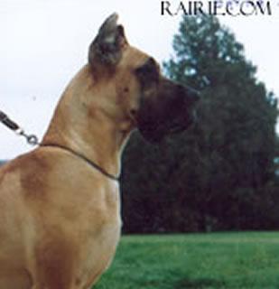 Davina F Dell Aprusa