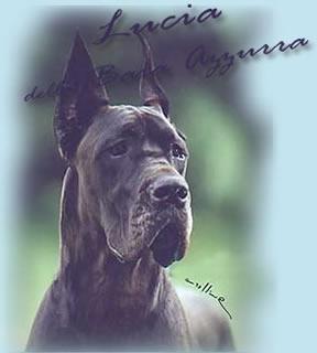 Ch Lucia B Della Baia Azzurra