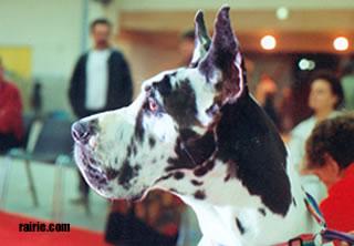 Ch Image Des Apollons De La Pile