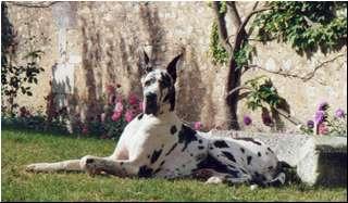 Ch Image Des Apollons De La Pile