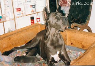 Inn Des Appolons De La Pile