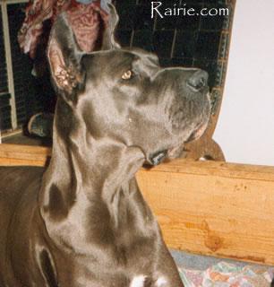 Inn Des Appolons De La Pile