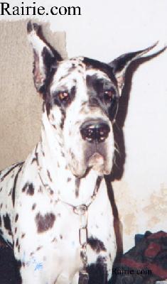 Noumeah Des Appolons De La Pile