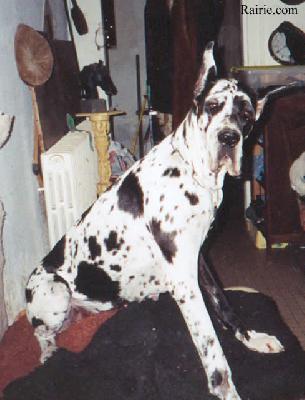 Noumeah Des Appolons De La Pile