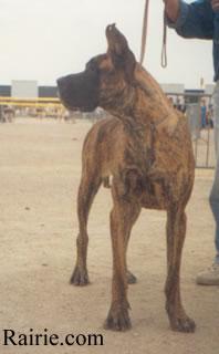 Fabagelle Des Brumes De La Vallee Du Cher