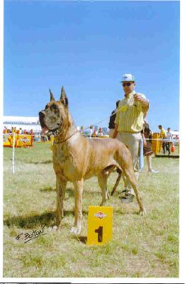 Ch Marowski Des Brumes De La Vallee Du Cher