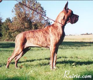 Moudjahiddine Des Brumes De La Vallee Du Cher
