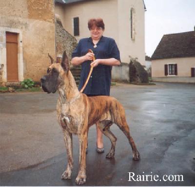 Moudjahiddine Des Brumes De La Vallee Du Cher