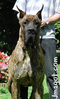 Printens Des Brumes De La Vallee Du Cher