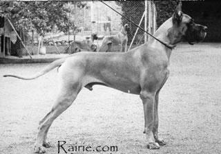 Ch Manfred Des Fauvelles