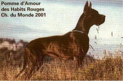 Ch Pome D�amour Des Habits Rouges