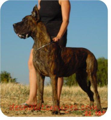 Ptite Cherie Des Habits Rouges