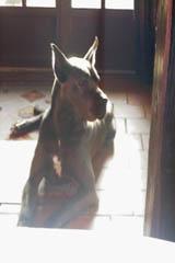 Nina Des Landes Du Chatenet