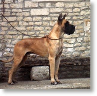 Ch Ascott Des Petites Vernieres