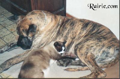 Dayana Des Petites Vernieres