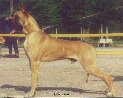 Ch Drakkar Des Petites Vernieres