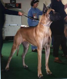 Ch Ellebore Des Petites Vernieres