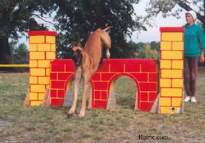 Ch Ellebore Des Petites Vernieres