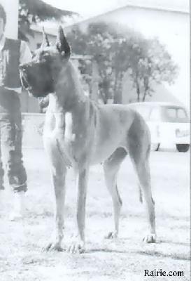 Ich Bin Des Petites Vernieres