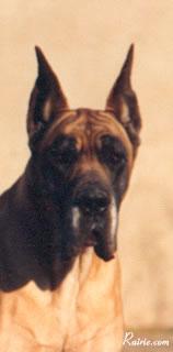 Uriage Des Petites Vernieres