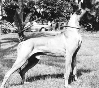 Ch Manuel Des Terres  De La Rairie