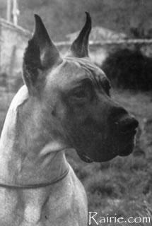 Ch Manuel Des Terres  De La Rairie