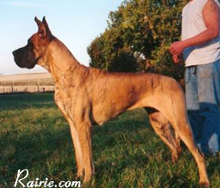Marina Des Terres  De La Rairie