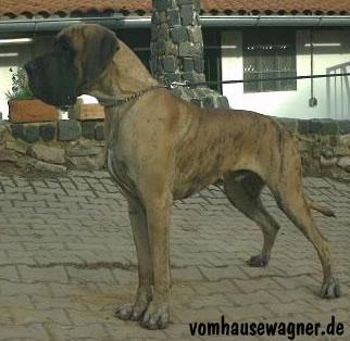 Ch Original Des Terres De La Rairie