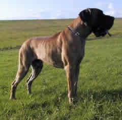 Ch Original Des Terres De La Rairie