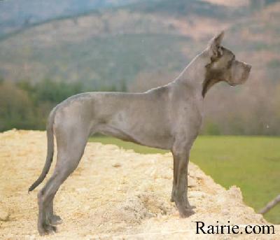 Ch Paola Des Terres  De La Rairie