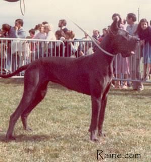 Ch Paola Des Terres  De La Rairie