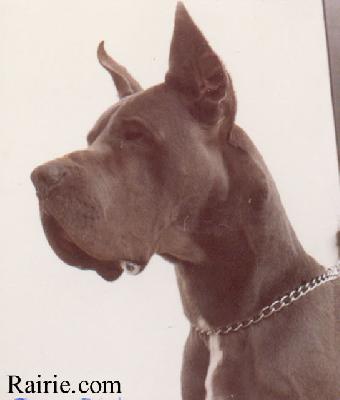 Ch Paolos Des Terres  De La Rairie