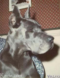 Valeska Des Terres  De La Rairie