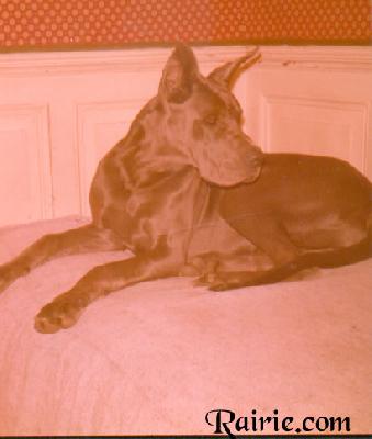 Valeska Des Terres  De La Rairie