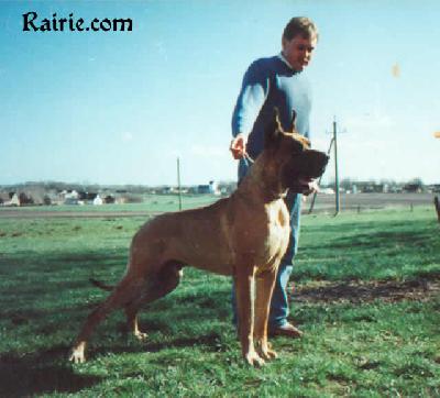 Vermeil Des Terres  De La Rairie