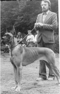 Ch Amandine Des Terres De La Rairie