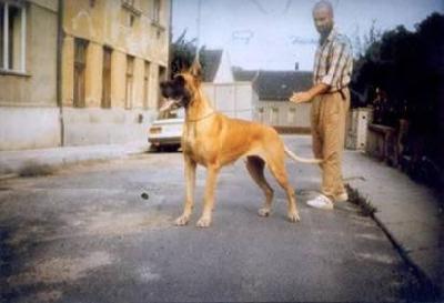 Ch Amandine Des Terres De La Rairie