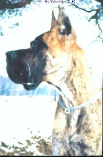 Ch Autoung Des Terres De La Rairie