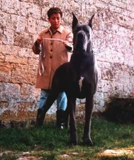 Ch Barcles Des Terres De La Rairie