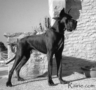 Ch Barcles Des Terres De La Rairie