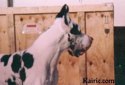 Dalhen Des Terres De La Rairie