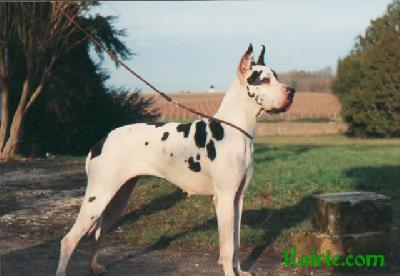 Dalhen Des Terres De La Rairie