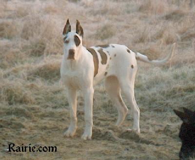 Dalhen Des Terres De La Rairie