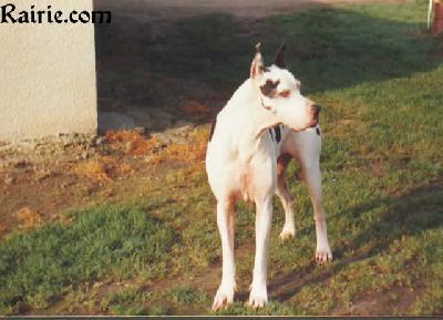 Dalhen Des Terres De La Rairie