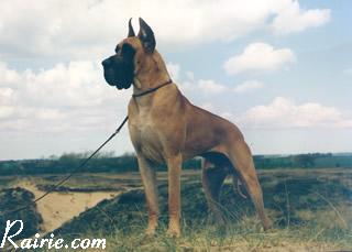 Ch Drik Des Terres De La Rairie