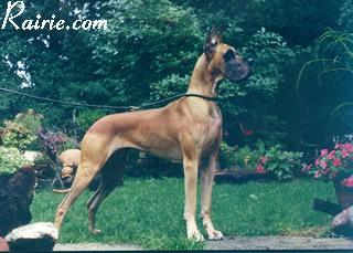 Ch Gaa Des Terres De La Rairie