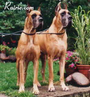 Ch Gaa Des Terres De La Rairie